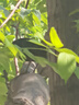 曼戈途强光远射大功率激光笔灯售楼逗猫教鞭户外镭射红外线手电筒指星笔 黑色（外壳）绿光+效果头 实拍图