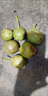 2025新鲜核桃现摘薄皮青皮核桃现摘现发左权 1斤 实拍图