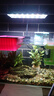 尼奥光 NEO-HELIOS鱼缸灯水草灯LED灯S3proRGB植物光谱 13W尼奥S3plus【适用30-40鱼缸】 实拍图