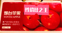 京鲜生 山东栖霞红富士苹果精品12粒 单果190g-240g  生鲜水果 礼盒 实拍图