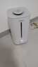 美的（Midea）巨雾空气加湿器空气净化器家用卧室杀菌净化孕妇婴儿桌面小型喷雾器国家补贴空调伴侣女生礼物40S 实拍图