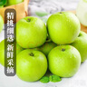 京地达梨砀山青梨翠冠梨净重4.8斤单果250g+新鲜梨子水果源头直发 实拍图