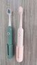 引域适配usmile笑容加电动牙刷头Y1/Y1S/Y20/U1/U2/P1/P3/P4/P10/P20pro大理石通用呵护软毛专业款刷头 4支 绿色专业款｜高效清洁（单管独立包装） 实拍图