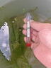 水族鱼缸温度计观赏鱼温度表挂钩热带鱼乌龟缸水温计 小黄棒+小白棒+小胖+挂钩【全福】 实拍图