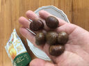 三只松鼠有机甘栗仁500g 熟制即食板栗仁栗子仁坚果零食品 团购送礼 实拍图