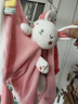 BABYGREAT婴儿安抚巾玩偶可入口睡眠手偶婴儿毛绒玩具睡觉神器周岁生日礼物 安抚巾丨兔兔菲比【含啃咬条】 实拍图