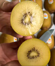 佳沛（zespri）新西兰  阳光金奇异果16粒礼盒经典果单果约 77-103g 水果 猕猴桃 实拍图