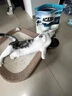 愛肯拿（ACANA）猫粮 海洋盛宴成猫幼猫粮 全价通用无谷进口鱼肉粮5.4kg效期26/2 实拍图