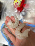 鲜京采【京东虾仁品质保障】精选南美白虾仁 无冰净重2斤 90-110只 实拍图