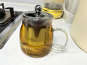 金灶（KAMJOVE）泡茶壶飘逸杯 耐热玻璃茶具功夫办公室花茶壶 茶水分离杯茶壶家用 A-02 500ml 实拍图