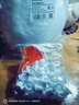 SHUANG YU一次性饮料袋380ml*50只中药分装袋液体酸梅汤豆浆袋子音乐节水袋 实拍图