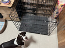 憨憨宠 狗笼猫笼 狗笼子小型犬带厕所幼犬折叠便携猫笼子宠物笼具兔笼 【精品真加粗】狗丝 85*61*71cm 实拍图