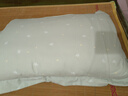梦洁家纺 纯棉面料 新疆棉阳光原棉舒柔枕成人枕头枕芯 48*70cm高约8-10cm 实拍图