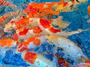 森森（SUNSUN）鱼缸水泵小型潜水泵过滤泵抽水泵YQP-1500 23W 实拍图