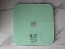 Keep体脂秤S2 家用智能电子秤APP数据测量WIFI/蓝牙双连接 抹茶绿 实拍图