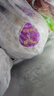 佳沃（joyvio）泰国进口椰青香水椰子 6个装 中果800g+ 新鲜水果 源头直发 实拍图