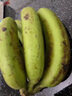 精品云南香蕉高山香蕉现摘新鲜水果甜生青香蕉banana自然熟绿皮 精品高山蕉 2斤 实拍图