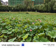 vivo X200 Pro mini 国家补贴 6.31 英寸纤薄小直屏  5700mAh蓝海电池 蓝晶 x 天玑9400 拍照 AI手机 直白 12GB+256GB 官方标配 实拍图