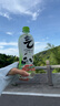 元气森林【肖战同款】0糖0脂0卡气泡水青竹葡萄柚味480mL*15瓶无糖饮料 实拍图