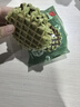 丹夫熔岩抹茶巧克力华夫饼268g纯脂黑巧夹心糕点早餐休闲年货茶点零食 实拍图