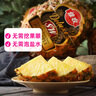 佳农 黑钻菠萝1粒装 巨无霸大果 菲律宾凤梨 净重3.6斤 生鲜水果 包邮 实拍图