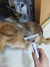 HELLOJOY宠物开结梳猫梳子狗猫毛梳狗毛清理器猫咪狗狗梳子长毛去浮毛神器 实拍图