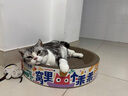疯狂的主人圆形猫抓板窝耐磨不掉屑猫窝一体猫咪抓盆特大号抓不烂猫爪板耐抓 实拍图