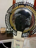 扬子电风扇空气循环扇落地家用卧室客厅宿舍台式桌面电扇 机械款-左右摇头 实拍图