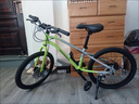 凤凰儿童自行车6到12岁8-10-15岁男女孩单车小学生变速山地车新款 【森林绿】7级变速双碟刹 18寸【建议身高105-110cm】 实拍图