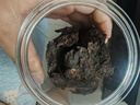 大益TAETEA茶叶普洱茶熟茶天地人和饼茶357g/饼 2201批次 品质口粮茶 实拍图
