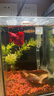 尼奥光 NEO-HELIOS鱼缸灯水草灯LED灯S3proRGB植物光谱 8W新款尼奥S3pro【高亮自然版 双倍亮度】 实拍图
