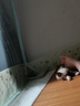汪野君猫砂盆顶入半封闭猫厕防外溅幼猫成猫猫屎盆猫沙盆带猫砂铲大号 实拍图