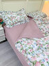 恩兴纯棉床上四件套全棉韩式公主风床品宿舍床单三件套床笠田园花被套 L优雅恋人-荷叶边【100%新疆全棉】 1.5m床 床单款 四件套-被套200*230cm 实拍图