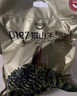 市舶士马来西亚猫山王榴莲D197整果自然树熟液氮冷冻榴莲肉进口水果送礼 【保底5房】A级精品 3.1-3.5斤 实拍图