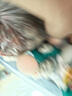 德青源A级鲜鸡蛋32枚2.74斤起无抗生素 谷物喂养  营养早餐礼盒装 实拍图