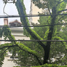 兄弟（brother）DCP-L1638W黑白激光无线有线网络打印机小型学生家用办公一体机复印扫描1618W升级款 实拍图