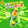 维他奶维他鸭屎香柠檬茶500ml*15瓶 实拍图