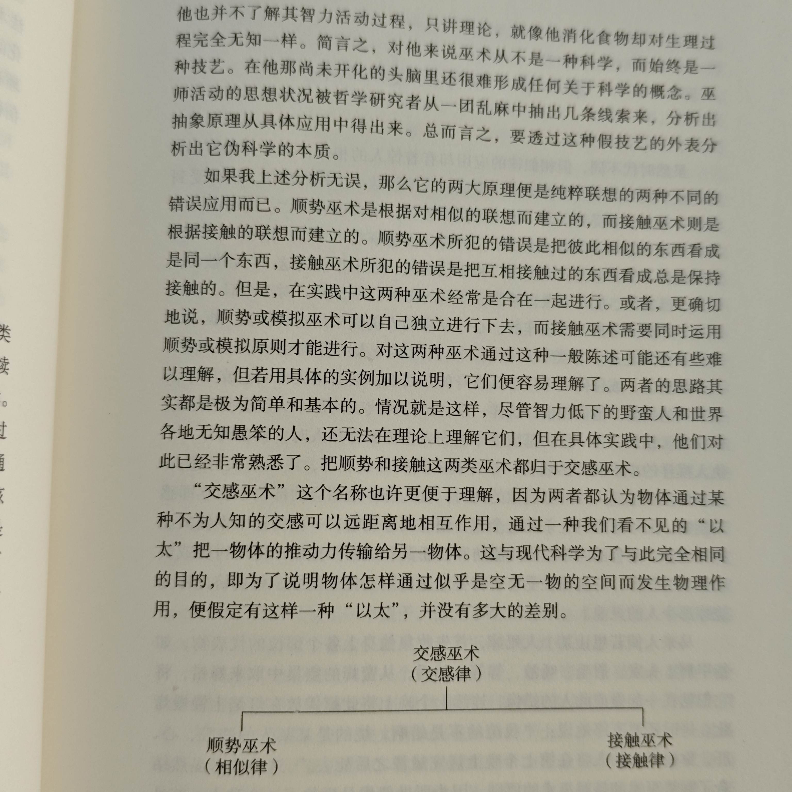 【包邮】金枝 金枝 弗雷泽 书（精装）书籍 实拍图