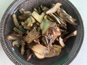 京地达云南特产新鲜见手青菌净重200g装牛肝菌食用菌源头直发包邮 实拍图