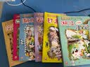 【新书现货速发】大中华寻宝记系列最新版全套1-32册 泉州寻宝记 吉林宁夏寻宝记山西内蒙古黑龙江新疆海南寻宝记 6-12岁儿童中国地理科普百科全书读物寻宝记划 【寻宝记6】四川 实拍图
