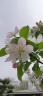 vivo官方原装 18W闪充充电器快充X21X20x23x27X30X9X7X6z3z5x iQOO X27/Z5/NEX/X23/Z3头（不含线） 实拍图