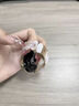 E-Trend适用华为gt4表带watch4手表原装gt5女款pro树脂荣耀gs夏天2e运动 椭圆树脂-粉碎花 华为GT4/GT5 41mm/GT5Pro42mm 实拍图