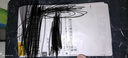 艾栢恩（AIBAIEN）智能无绳跳绳成人计数减肥专用负重蓝牙APP学生中考考试可充电 【充电跳绳APP款】小球+3米长绳 实拍图