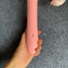 伊珞（EROCOME）小狮震动棒情趣用品女性生理解压玩具女人专用成人炮机按摩自慰器 实拍图