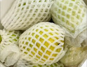 京鲜生软糯双拼红白芭乐 净重5斤单果150g+ 新鲜番石榴 源头直发包邮 实拍图