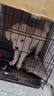 华美龙 狗笼子小型犬中型犬带厕所泰迪柯基比熊柴犬宠物狗窝室内狗围栏 【免安装】61*42*50（12斤内） 实拍图