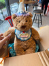 Jellycat巴塞罗熊毛绒玩具儿童安抚公仔小熊玩偶潮玩送礼娃娃生日礼物 巴塞罗熊 Medium 实拍图