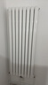圣劳伦斯暖气片家用水暖壁挂式全屋采暖客厅卧室定制钢制暖气片柱式大水道 钢制60D单片宽 60mm*1柱 高1800mm(3柱起订) 实拍图