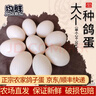 均鲜新鲜土鸽子蛋杂粮喂养农家特产白鸽蛋信鸽蛋孕妇宝宝年货节礼盒装 30枚 750g 左右精选大个种鸽蛋 实拍图