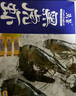 万景 国产大虾 盐冻北海白虾(大号) 80-100只净重4斤  烧烤聚餐 海鲜 实拍图